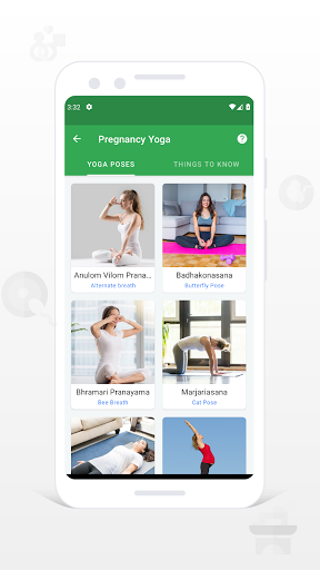 Pregnancy Companion PC