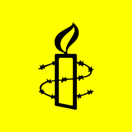 Amnesty Moves PC版