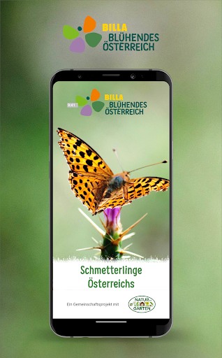 Schmetterlinge Österreichs