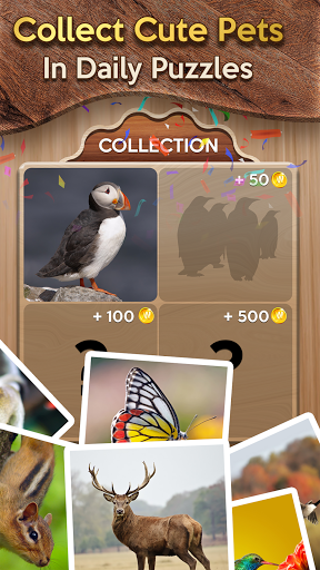 komputer Woody Cross: Word Connect