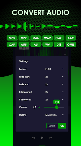 Audio Converter