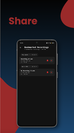 Private Sound Recorder PC版