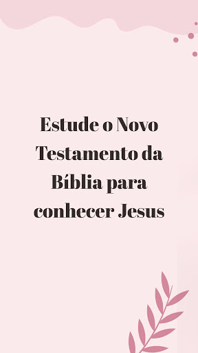 Bíblia Novo Testamento PC