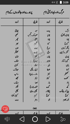 بلوچی اردو گفتگو