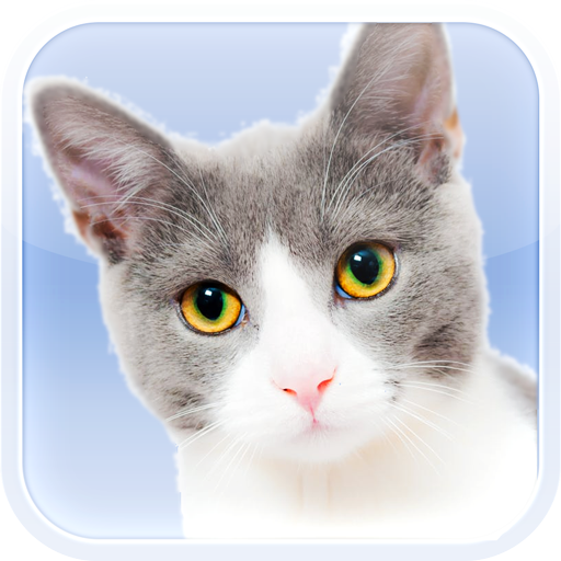 Cats and Kittens Sounds PC