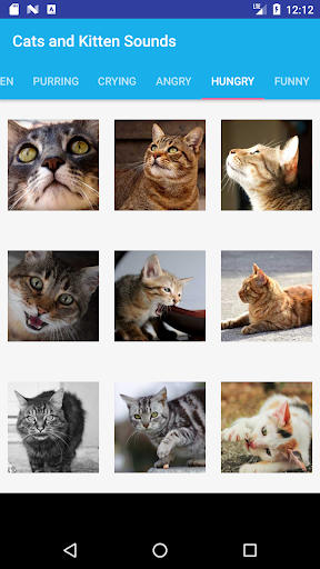 Cats and Kittens Sounds PC