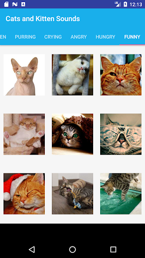 Cats and Kittens Sounds PC