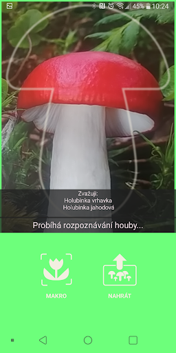 Aplikace na houby پی سی
