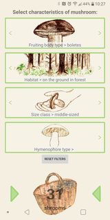 Mushrooms app PC