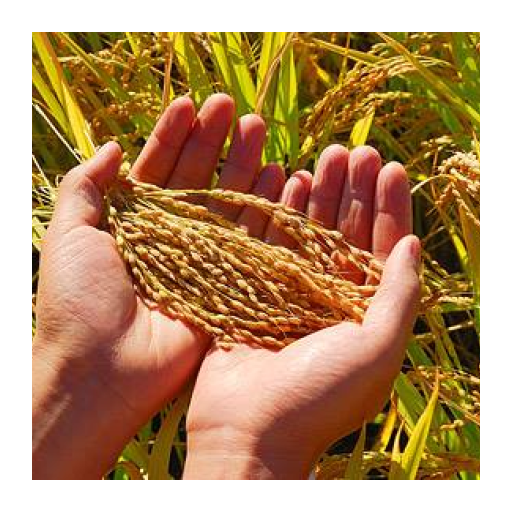 কৃষকের অ্যাপ