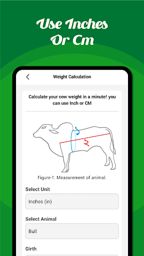 Cow Weight Calculator PC