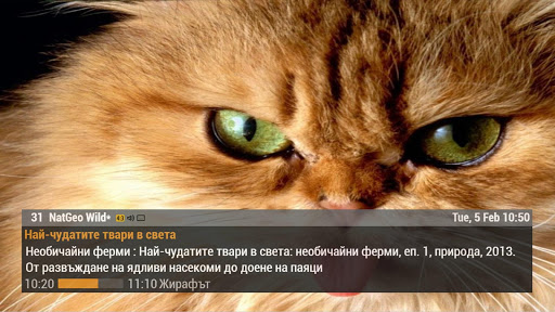 UNiTV para PC