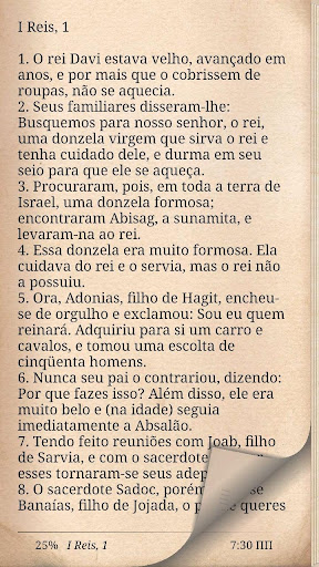 Bíblia Católica Ave Maria ПК