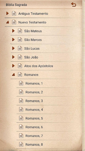 Bíblia Católica Ave Maria ПК