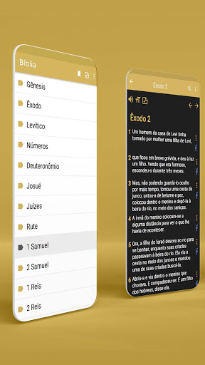 Bíblia Sagrada Católica ПК