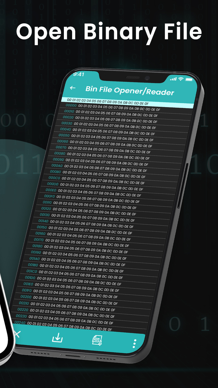 Bin File Opener, Reader Editor PC