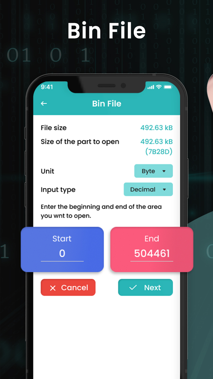 Bin File Opener, Reader Editor PC