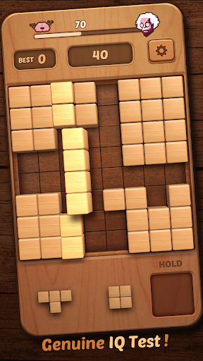 Wood Block Puzzle 3D PC