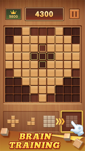 Wood Block 99 - Sudoku Puzzle PC