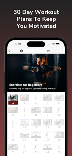 Evde boks egzersizleri PC