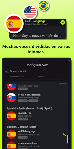 Voz de la Mujer del Traductor