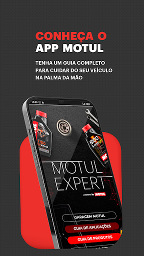 Motul Expert