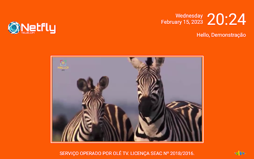 Netfly TV