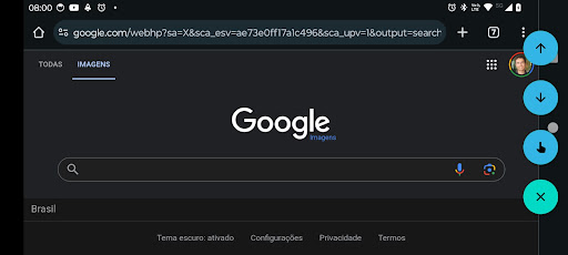 Pollen: Assistente de toque PC