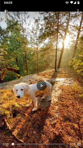 komputer Video Saver for TikTok no logo