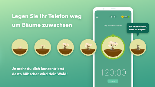 Forest：Konzentriert Bleiben