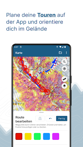 White Risk - SLF Lawinen-App