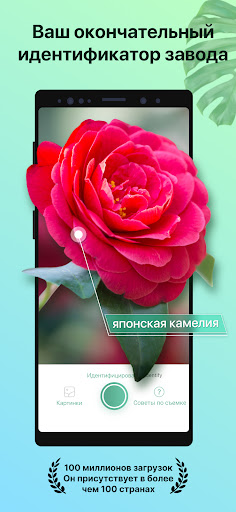 PictureThis растения признать