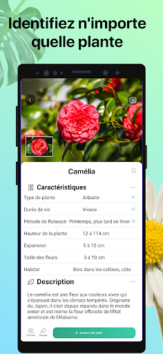 PictureThis - Plante Identification - Jardinage PC