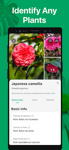 PictureThis: Identify Plant, Flower, Weed and More