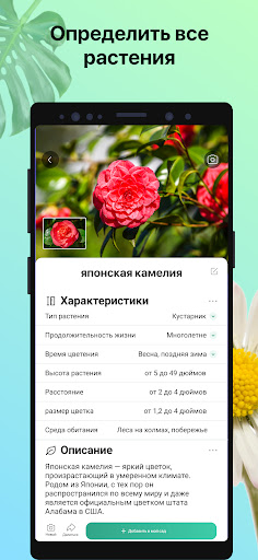 PictureThis растения признать