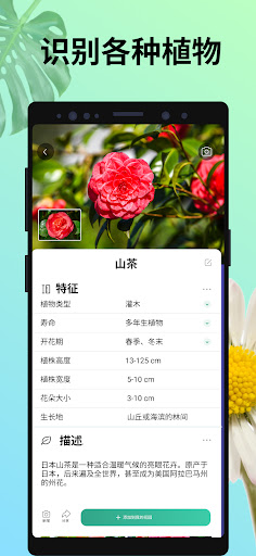 PictureThis: 拍照识别花、草、植物电脑版