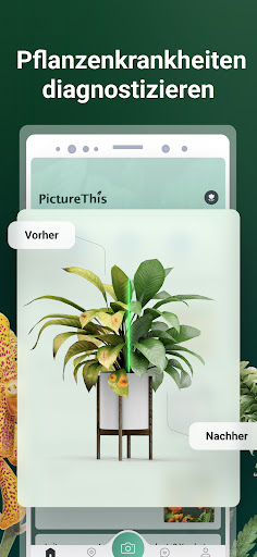 PictureThis Pflanzen Bestimmen PC