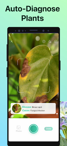 PictureThis - Plant Identifier پی سی