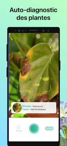 PictureThis - Plante Identification - Jardinage PC