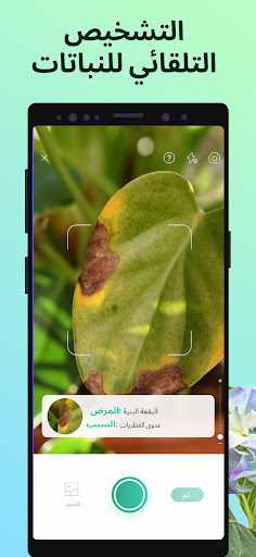 PictureThis - Plant Identifier