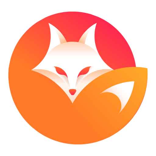 komputer Vixen VPN: fast & secure