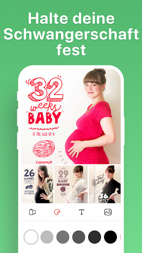 BabyStory: Schwangerschaft PC