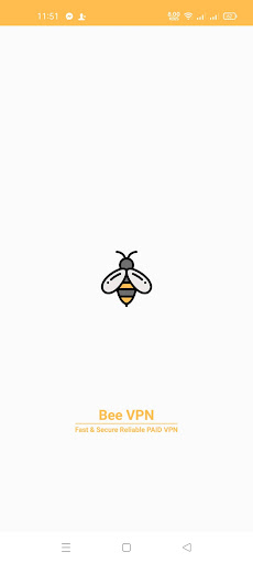 Bee VPN電腦版
