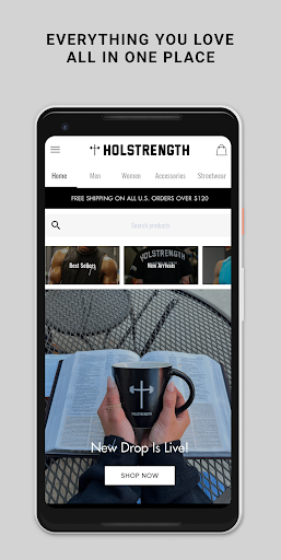HolStrength PC版