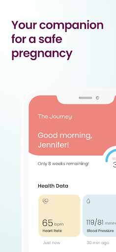 The Journey Pregnancy PC版