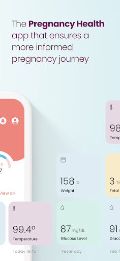 The Journey Pregnancy PC版