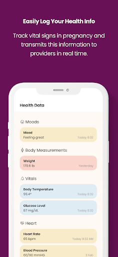 The Journey Pregnancy PC版