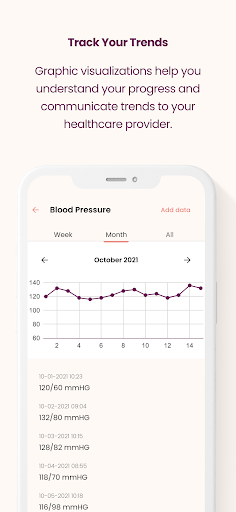 The Journey Pregnancy PC版