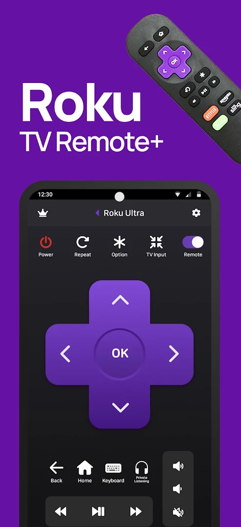 Roku TV Remote Controller: Ruku Remote Control PC
