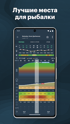 Windy.app: погода и ветер